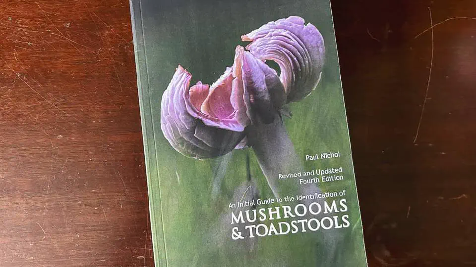 An Initial Guide to the Identification of Mushrooms & Toadstools