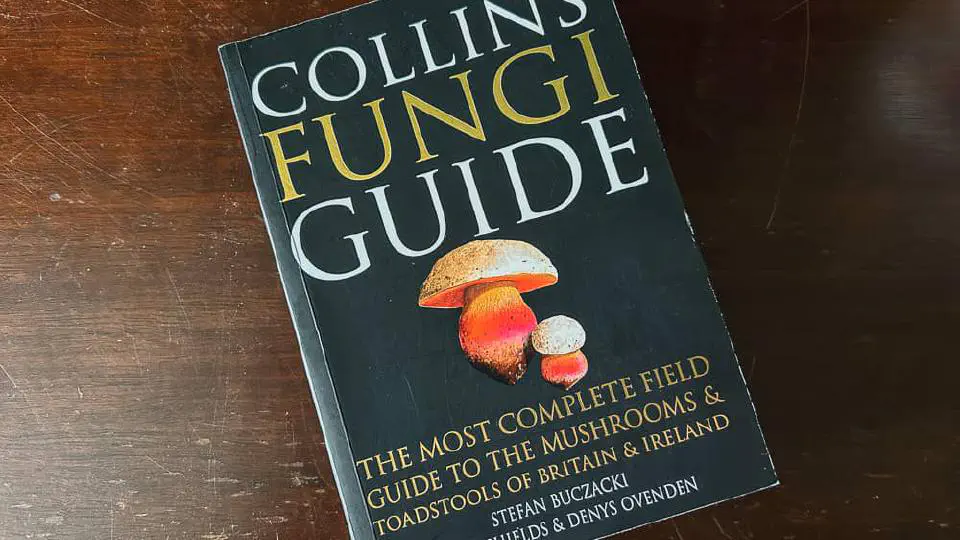 Collins Fungi Guide