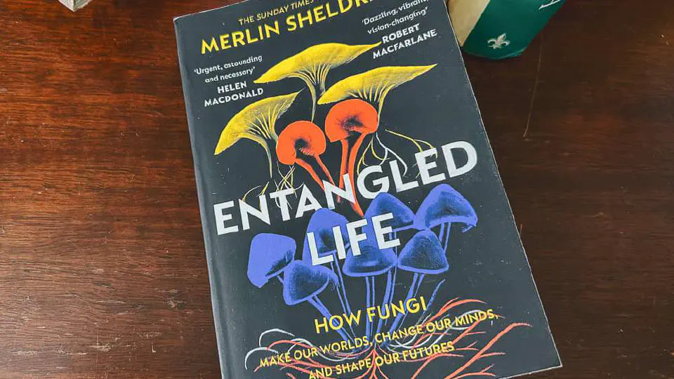 Entangled Life - Merlin Sheldrake