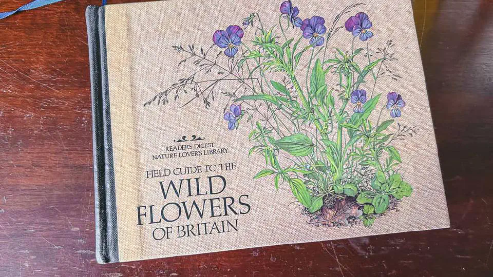 Field Guide To The Wild Flowers of Britain - Readers Digest