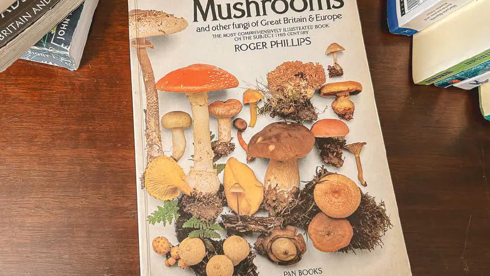 Mushrooms and other fungi of Great Britain & Europe - Roger Phillips