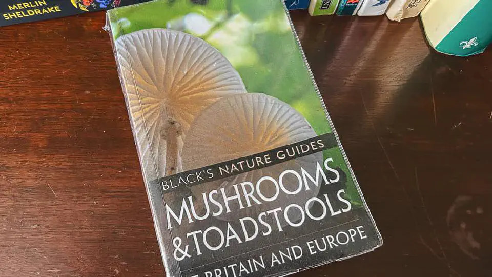 Mushrooms and Toadstools of Britain and Ireland - Blacks Nature Guides