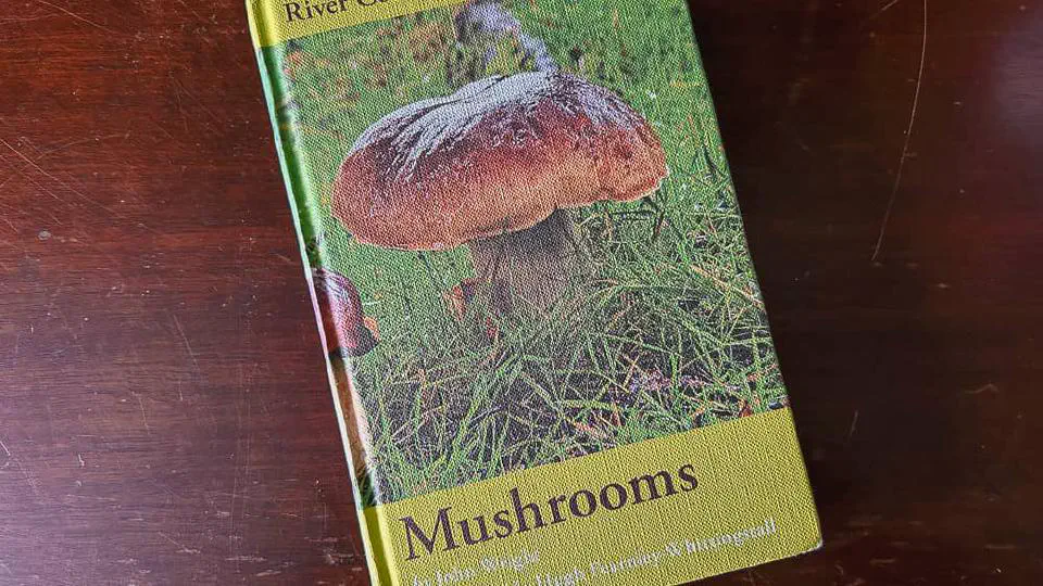 Mushrooms - River Cottage Handbook No 1