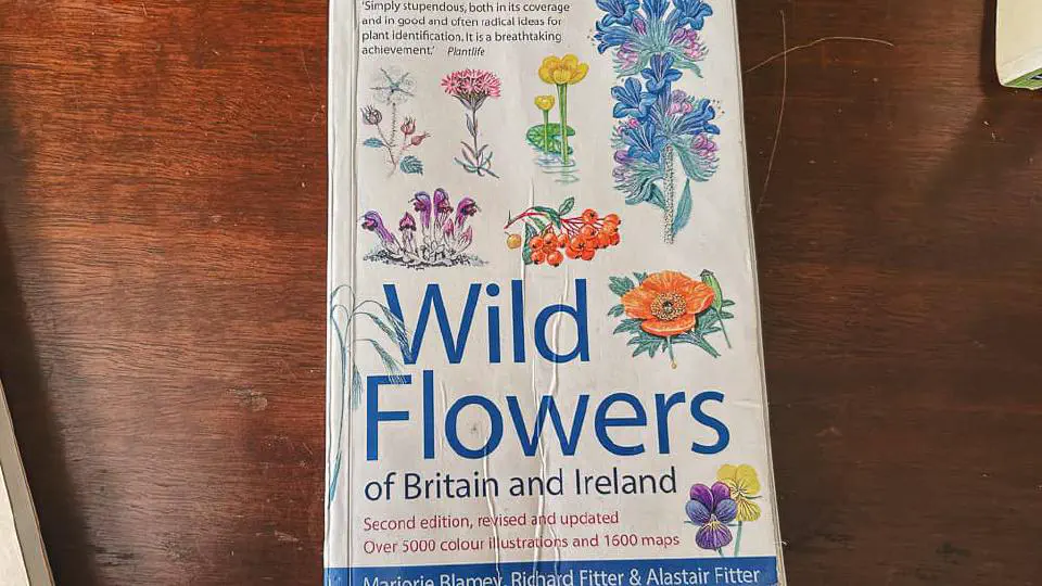 Wild Flowers of Britain and Ireland - Blamey, Fitter & Fitter