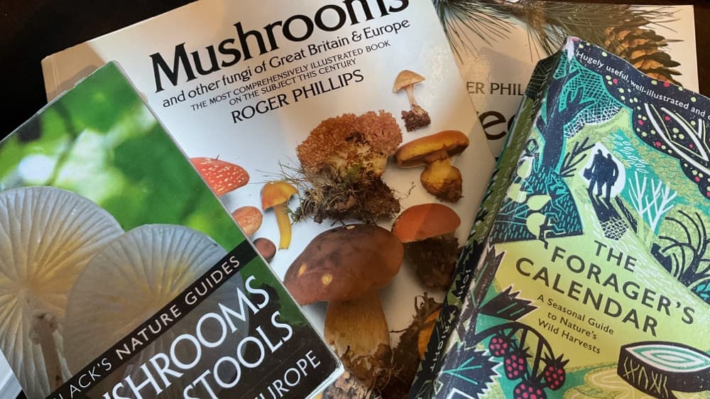 Recommended Foraging Books